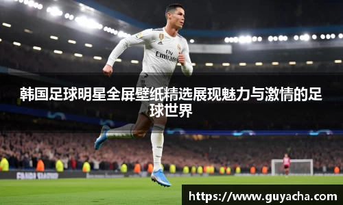 韩国足球明星全屏壁纸精选展现魅力与激情的足球世界